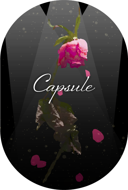 デザイン例　カプセル
